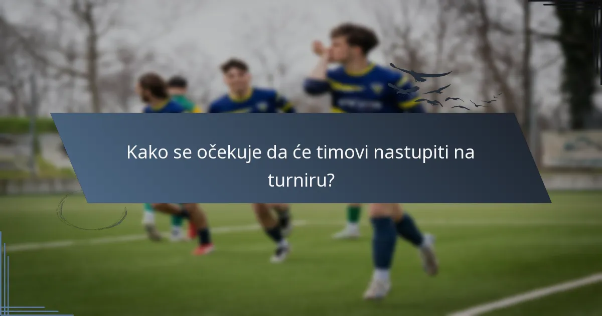Kako se očekuje da će timovi nastupiti na turniru?