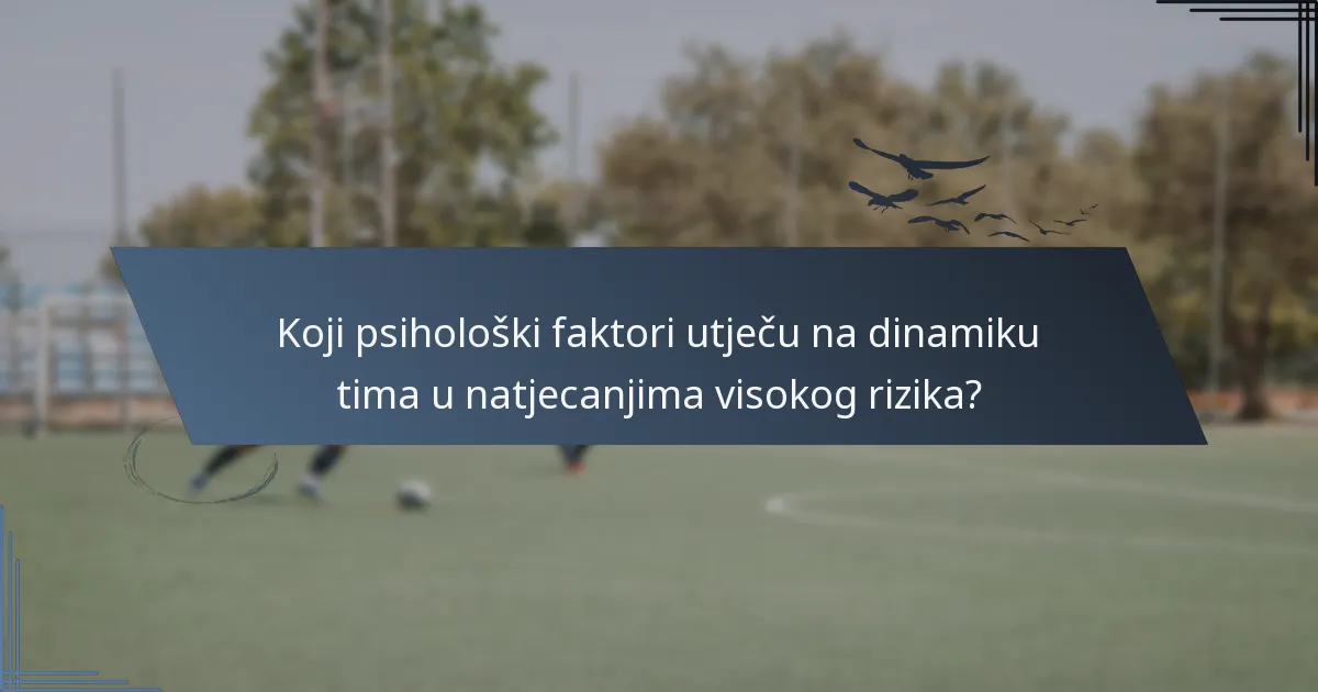 Koji psihološki faktori utječu na dinamiku tima u natjecanjima visokog rizika?